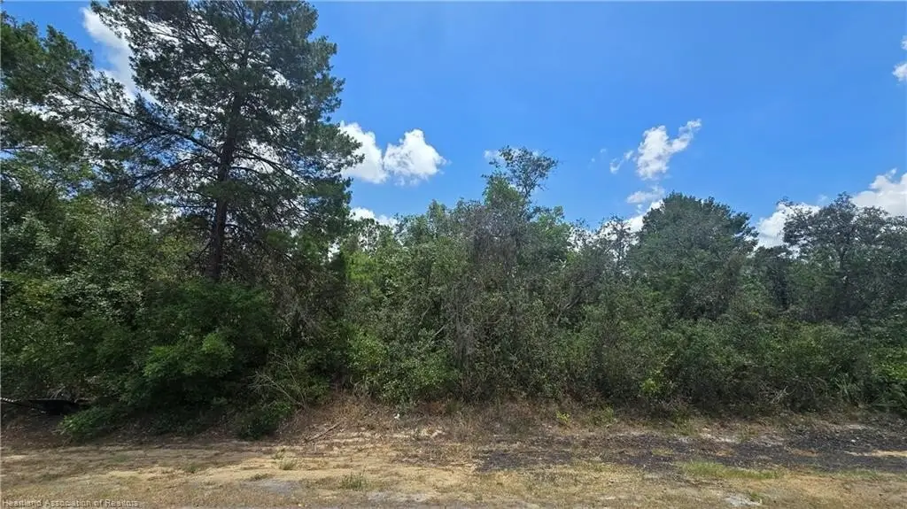 Picture 6