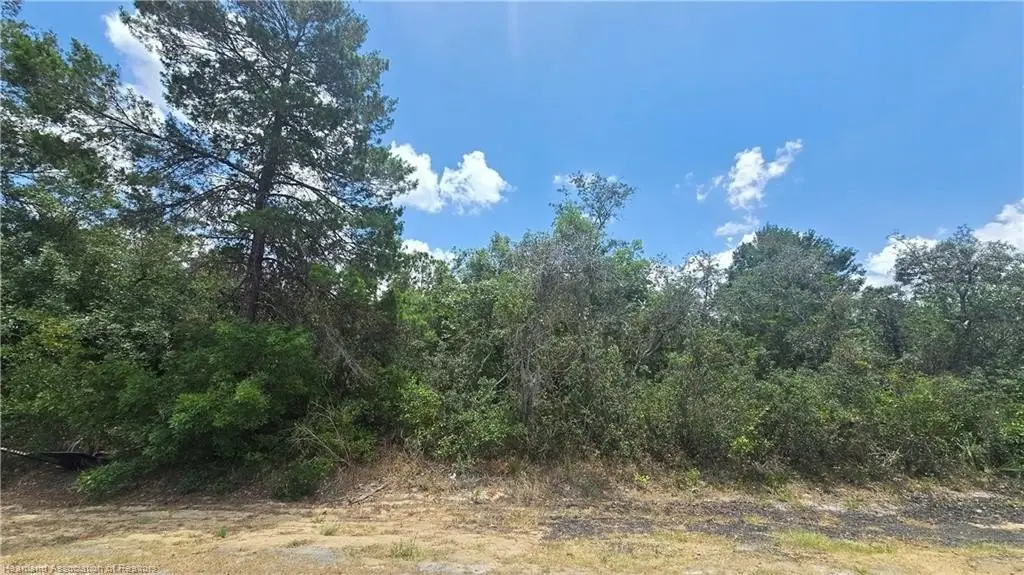 Picture 4