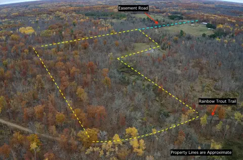 Wooded Recreational Land