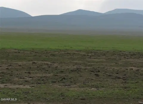 Lost Hills Agricultural Land Parcel