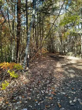 Whittier, NC Wooded Lot