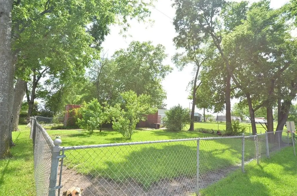 Picture 13