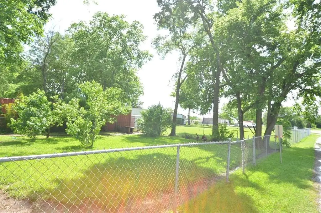 Picture 14