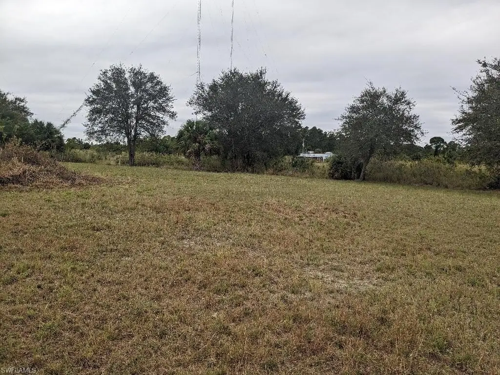 Picture 2
