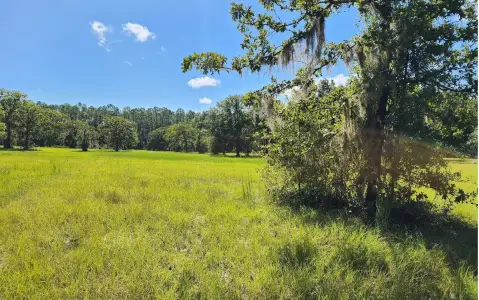 Residential Lot in O'Brien, FL