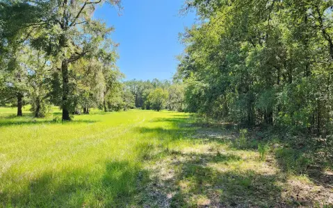 Residential Lot in OBrien, Florida
