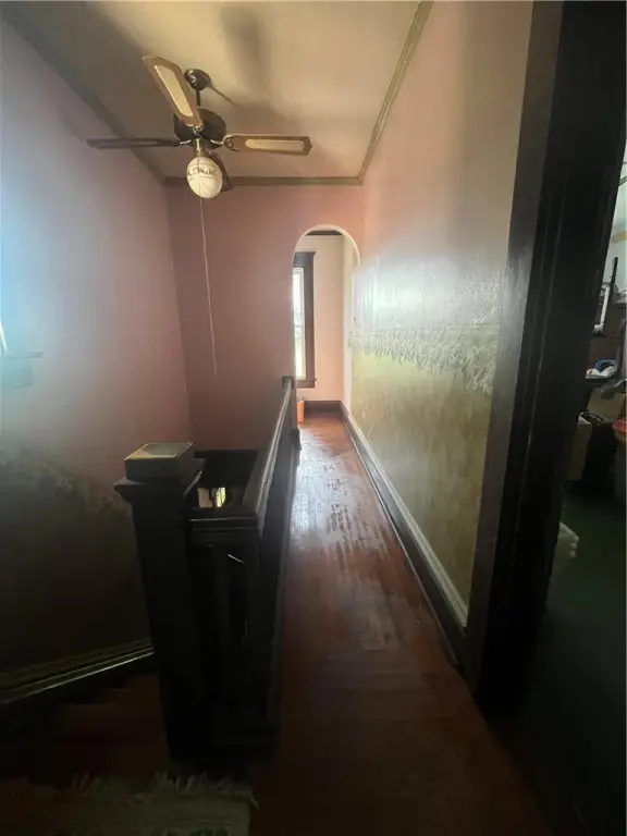 Picture 19