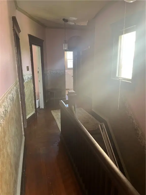 Picture 17