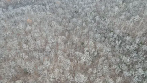 Wapappello Land Near Lake