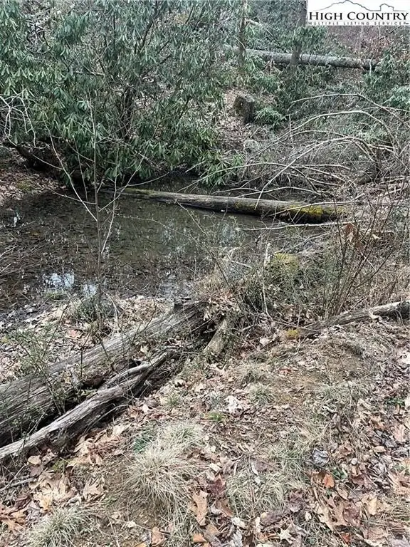 Picture 41