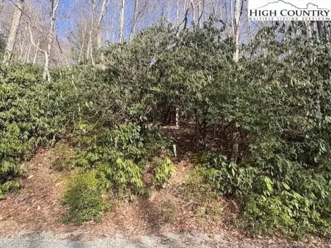 Wooded Lot in Beech Mountain