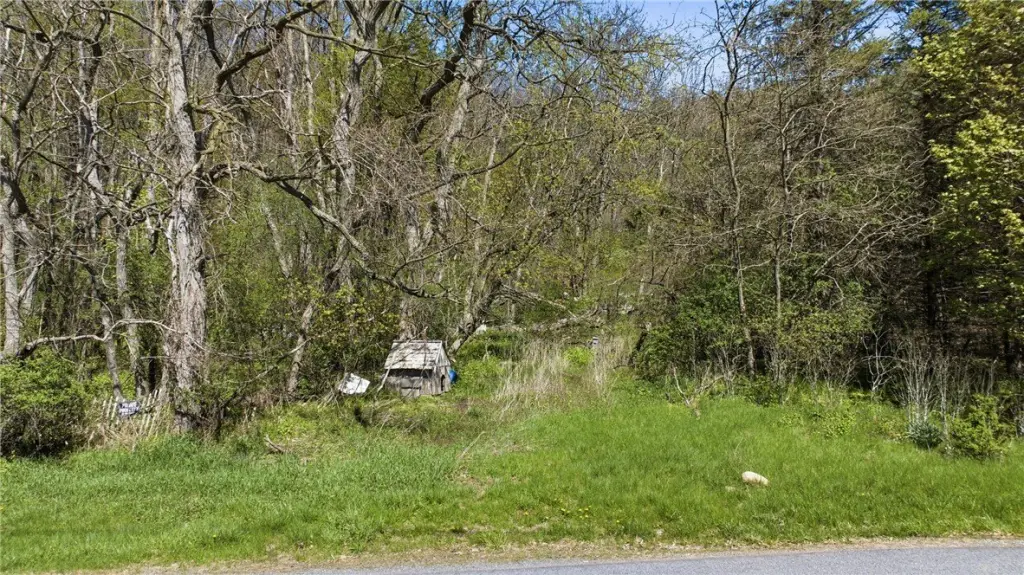 Picture 35