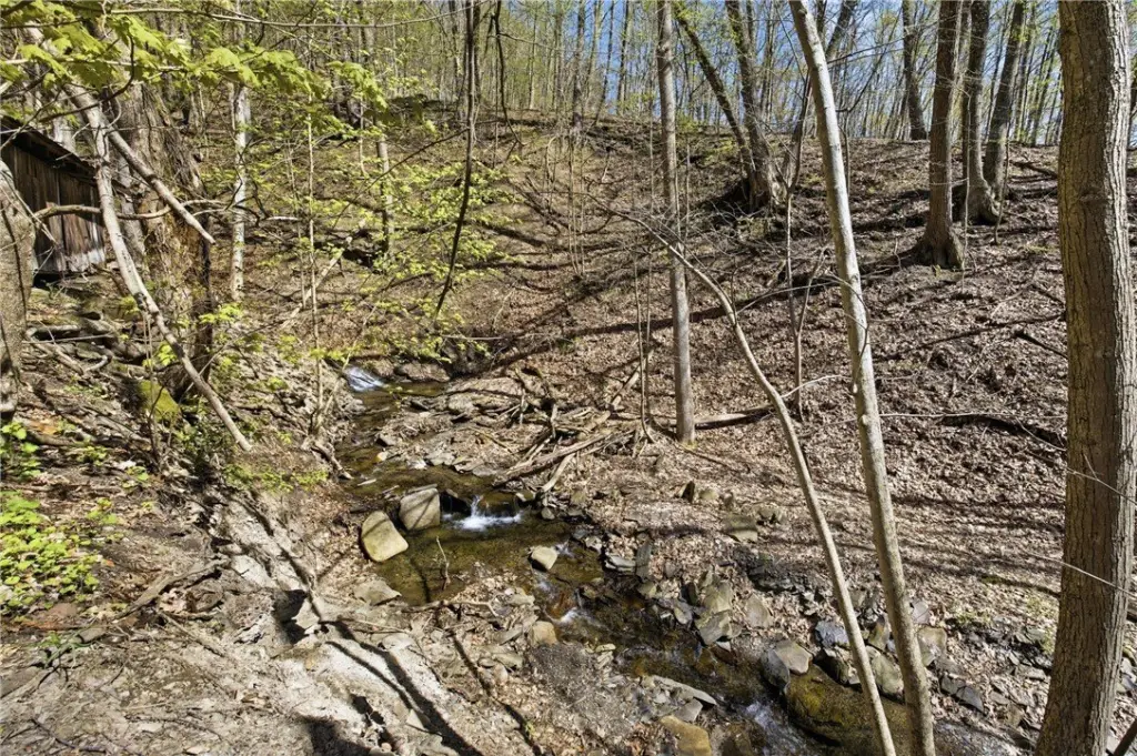 Picture 16