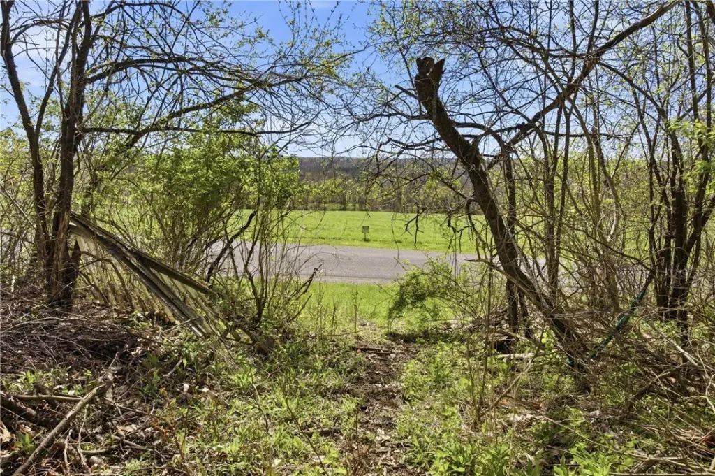 Picture 30
