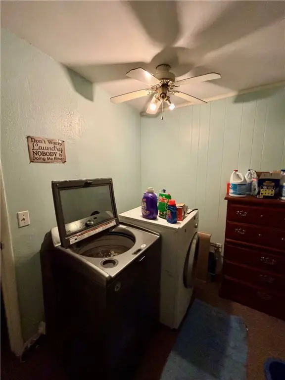 Picture 5
