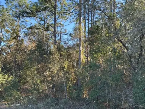 Citrus Springs Homesite For Sale