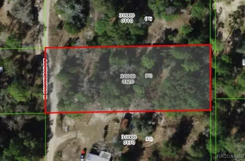 Crystal River Homesite or Investment