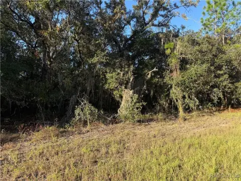 Pine Ridge Equestrian Homesite