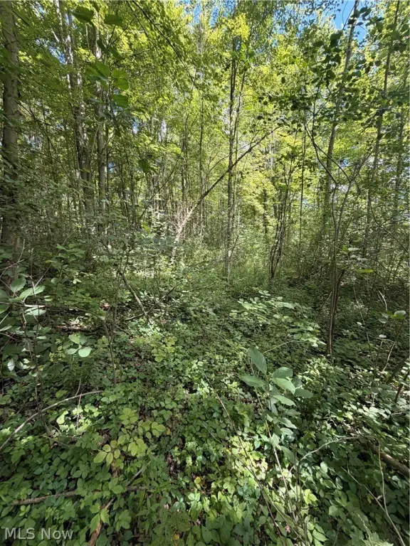 Picture 6