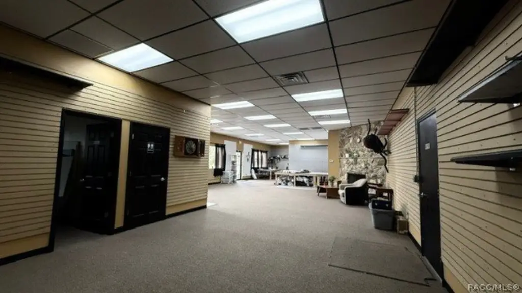 Picture 12