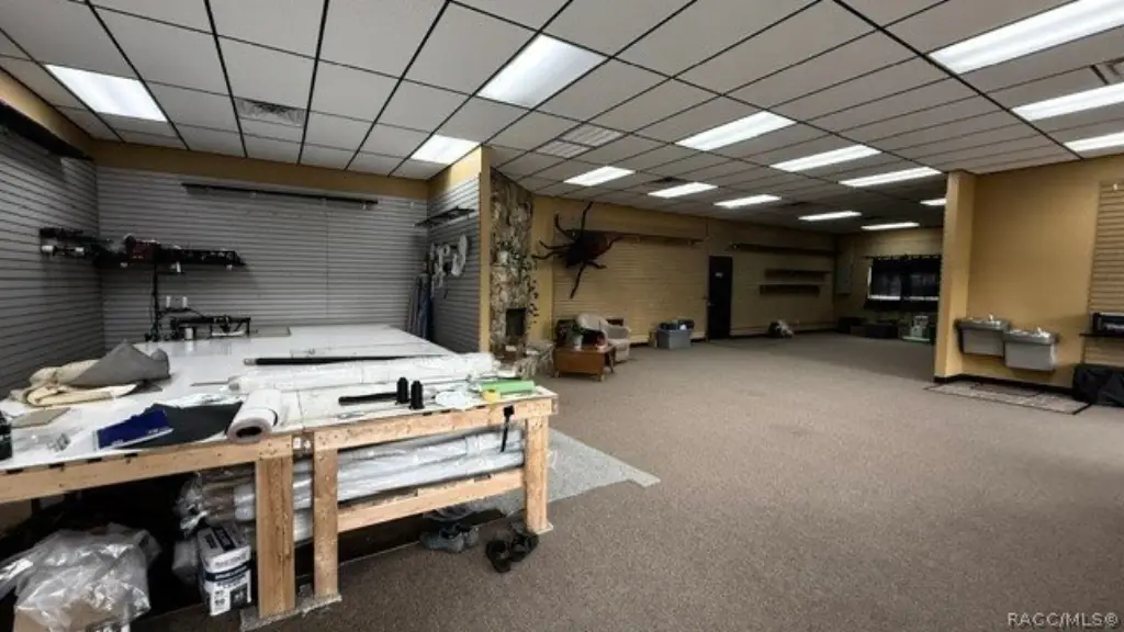 Picture 11