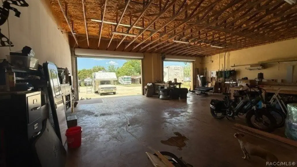 Picture 15