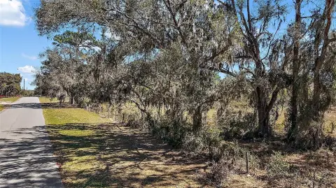 Expansive Land Parcel in Apopka