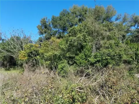 Vacant Lot Ready For Building