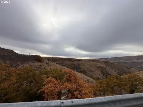 80 Acres Hunting Land, Bickleton