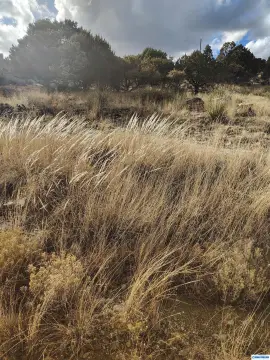 Land in Silver City, NM