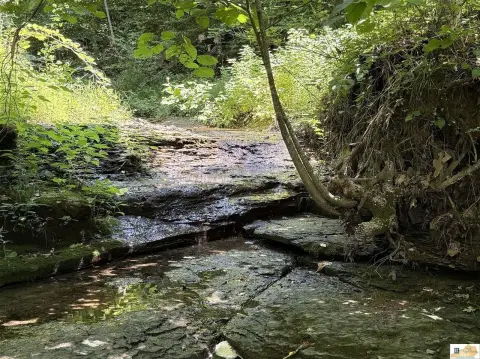 106 Acres Hunting/Recreational Getaway