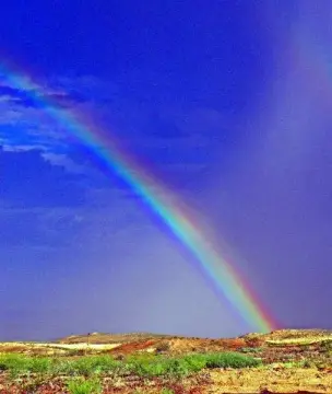 Vacant Land in Terlingua, TX