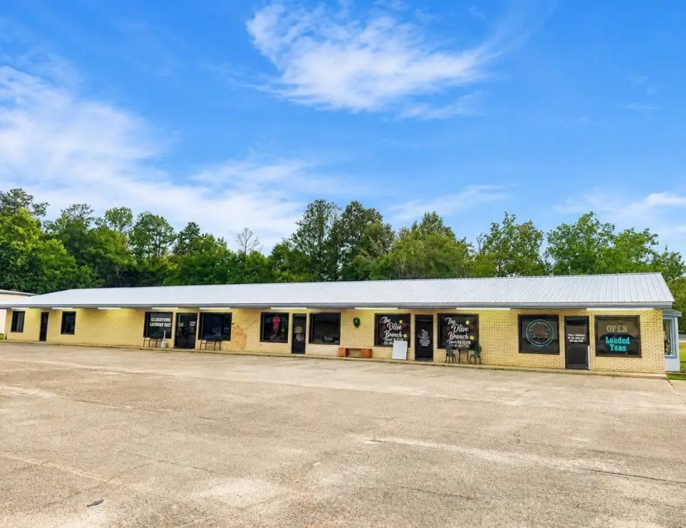 95 W Main St, Gilbertown, AL 36908