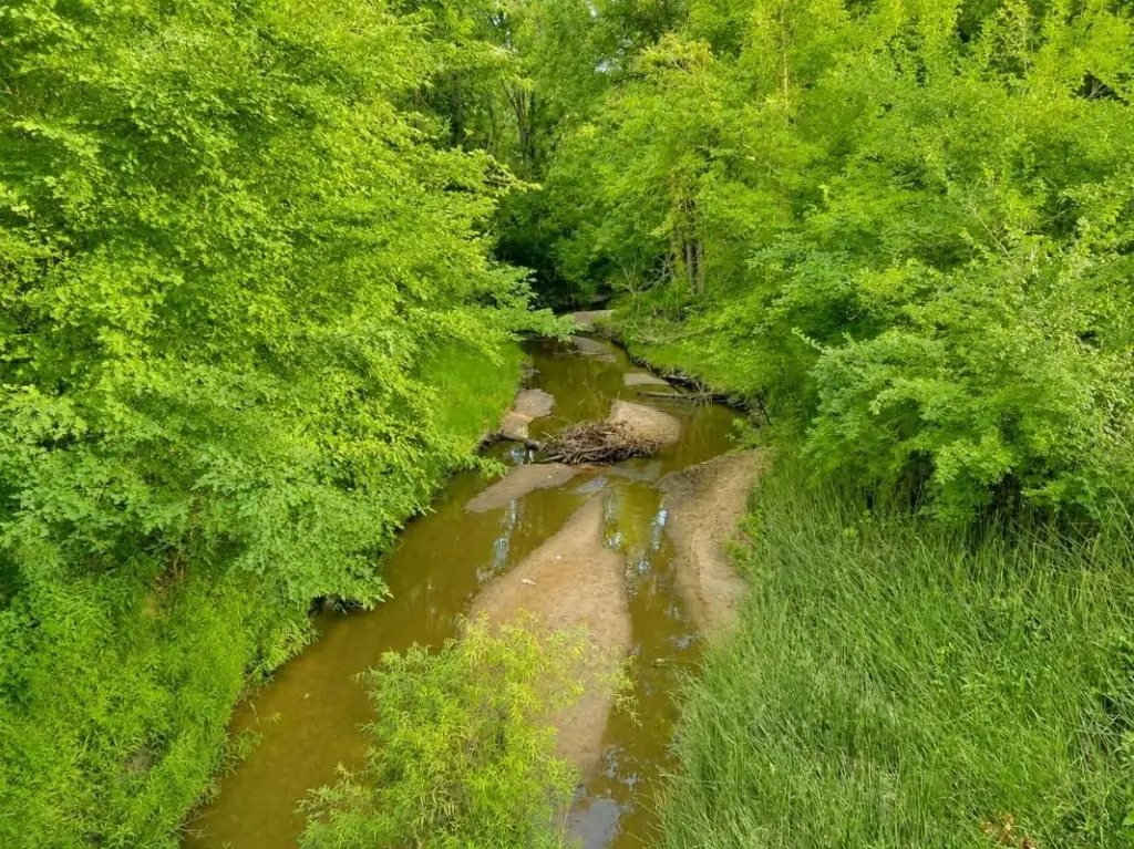 Picture 5