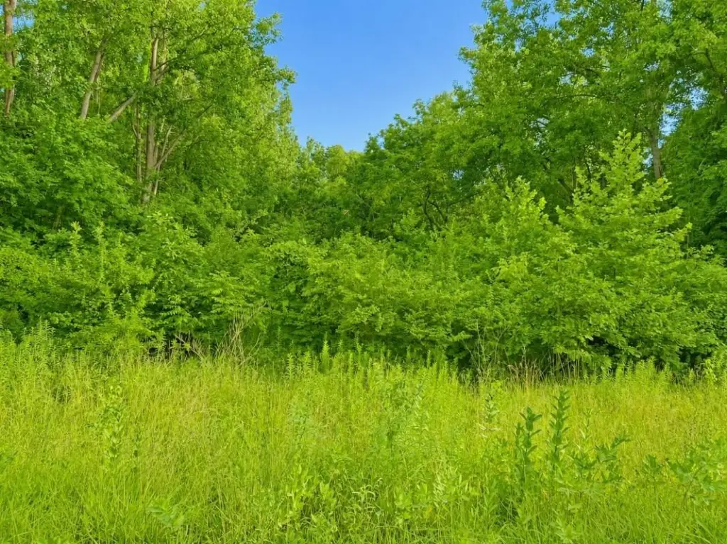Picture 14