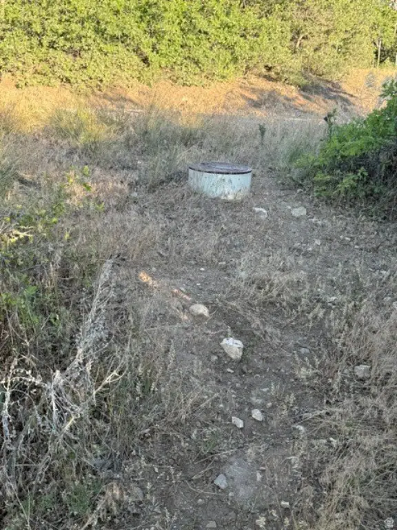Picture 10
