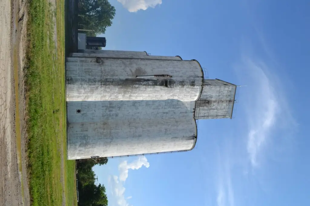 Picture 40