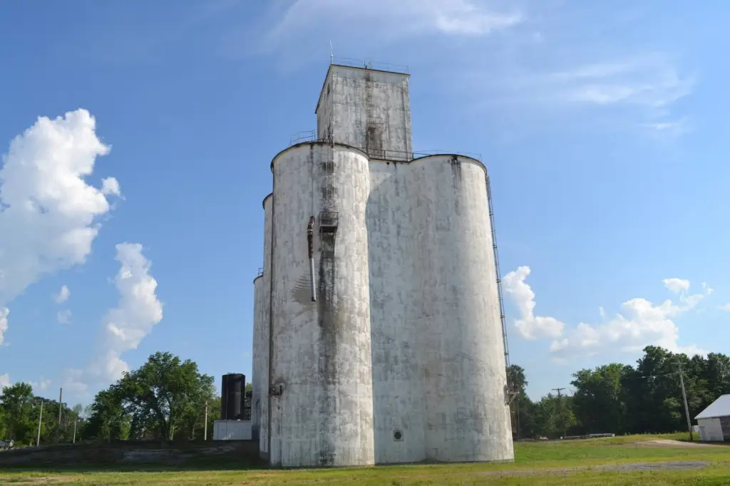 Picture 41