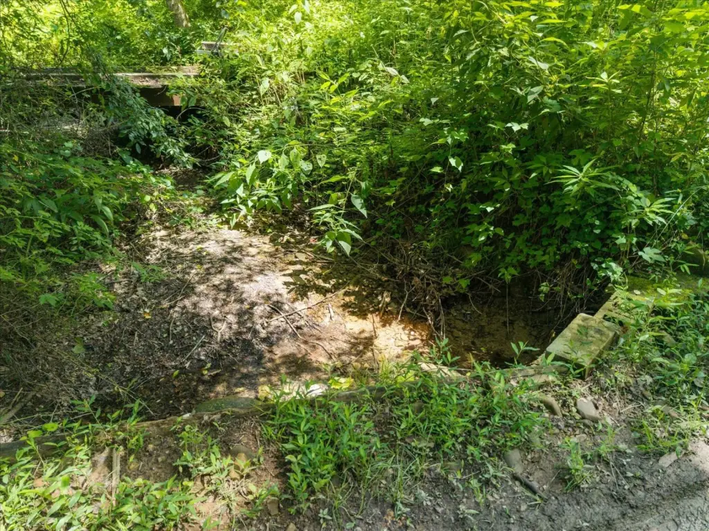 Picture 19