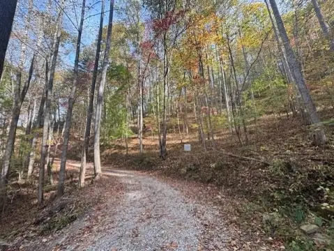 Unrestricted Land Near Nantahala Center