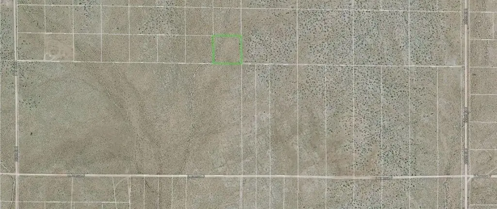 Picture 14