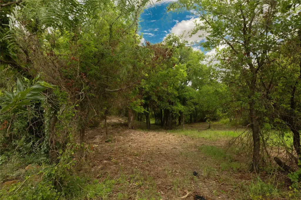 Picture 4