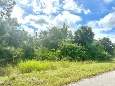 Residential Land in Lehigh Acres