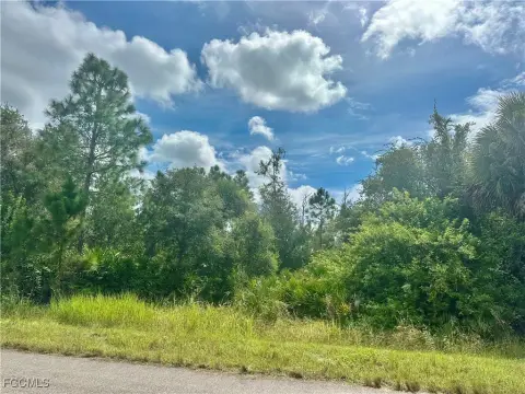 Residential Land in Lehigh Acres
