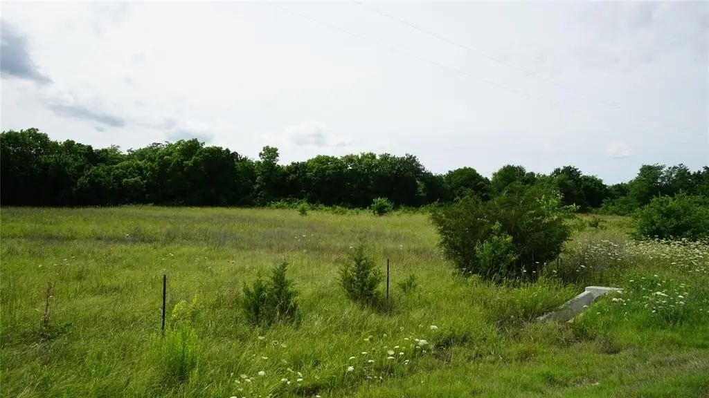 Picture 17