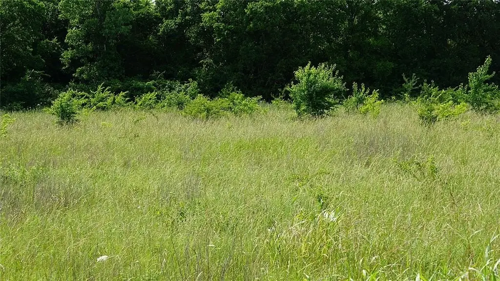 Picture 15