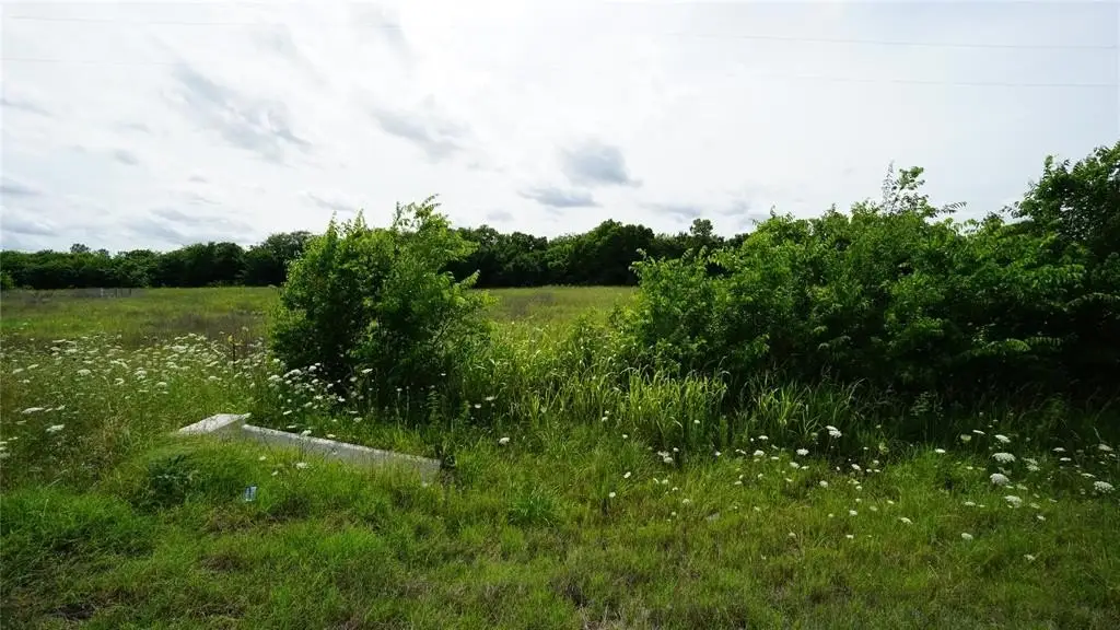 Picture 18