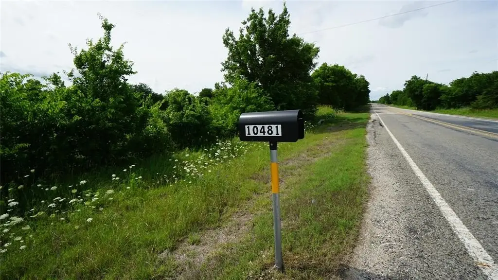 Picture 19
