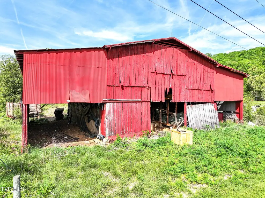 Picture 5