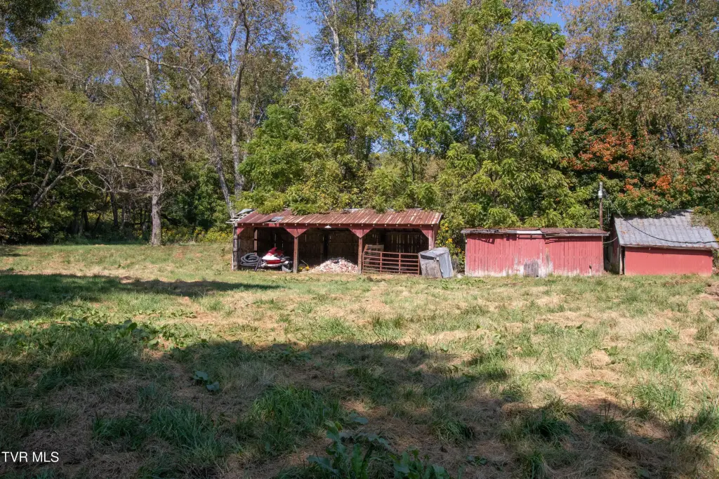Picture 5